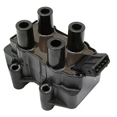 Wilmink Group WG1012213 Ignition coil WG1012213: Buy near me in Poland at 2407.PL - Good price!