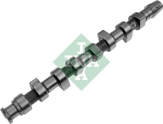 Wilmink Group WG1780239 Camshaft WG1780239: Buy near me in Poland at 2407.PL - Good price!