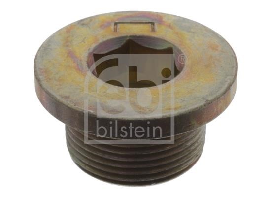 Wilmink Group WG1434066 Sump plug WG1434066: Buy near me in Poland at 2407.PL - Good price!