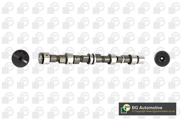 Wilmink Group WG1490516 Camshaft WG1490516: Buy near me in Poland at 2407.PL - Good price!