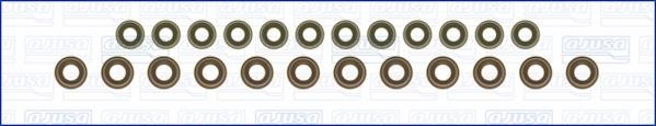 Wilmink Group WG1169938 Valve oil seals, kit WG1169938: Buy near me in Poland at 2407.PL - Good price!