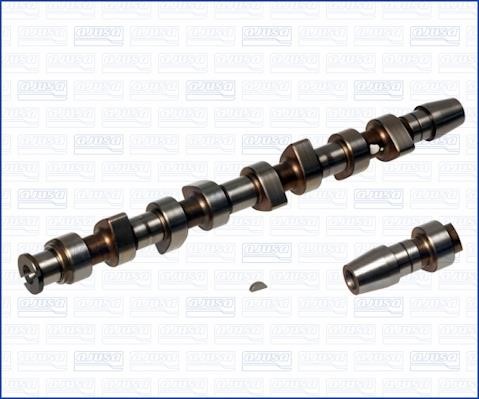 Wilmink Group WG1170794 Camshaft WG1170794: Buy near me in Poland at 2407.PL - Good price!