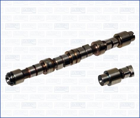 Wilmink Group WG1171263 Camshaft WG1171263: Buy near me in Poland at 2407.PL - Good price!