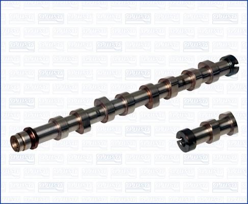 Wilmink Group WG1754018 Camshaft WG1754018: Buy near me in Poland at 2407.PL - Good price!