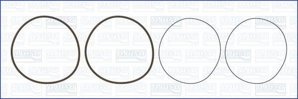 Wilmink Group WG1753845 O-Ring Set, cylinder sleeve WG1753845: Buy near me in Poland at 2407.PL - Good price!