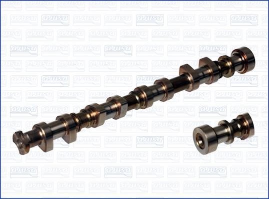Wilmink Group WG1171214 Camshaft WG1171214: Buy near me in Poland at 2407.PL - Good price!