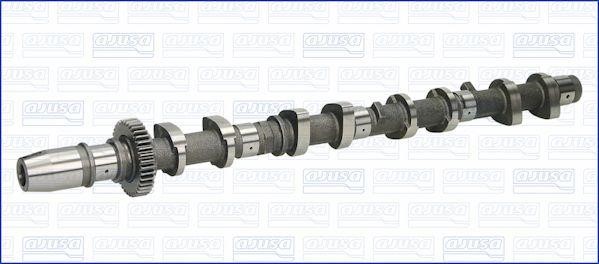 Wilmink Group WG1456684 Camshaft WG1456684: Buy near me in Poland at 2407.PL - Good price!