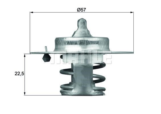 Wilmink Group WG1264891 Termostat, środek chłodzący WG1264891: Dobra cena w Polsce na 2407.PL - Kup Teraz!