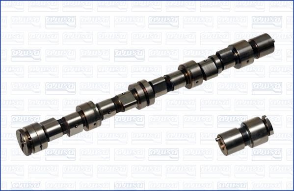 Wilmink Group WG1456152 Camshaft WG1456152: Buy near me in Poland at 2407.PL - Good price!