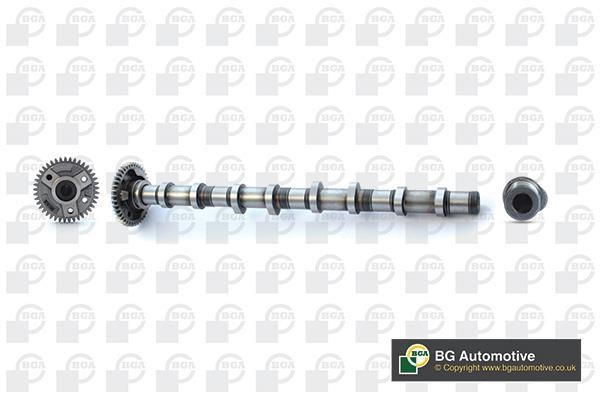 Wilmink Group WG1938305 Camshaft WG1938305: Buy near me in Poland at 2407.PL - Good price!