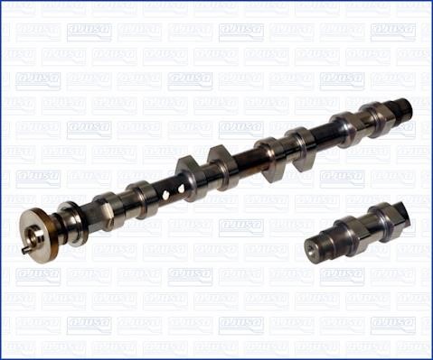 Wilmink Group WG1171496 Camshaft WG1171496: Buy near me in Poland at 2407.PL - Good price!