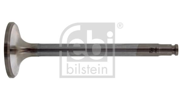 Wilmink Group WG2185879 Exhaust valve WG2185879: Buy near me in Poland at 2407.PL - Good price!