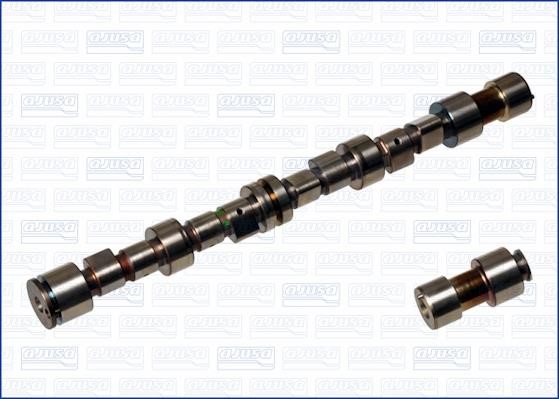Wilmink Group WG1170910 Camshaft WG1170910: Buy near me in Poland at 2407.PL - Good price!