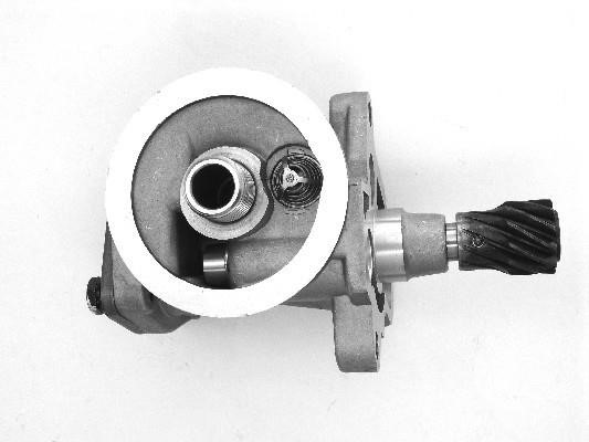 Wilmink Group WG1489595 OIL PUMP WG1489595: Buy near me in Poland at 2407.PL - Good price!
