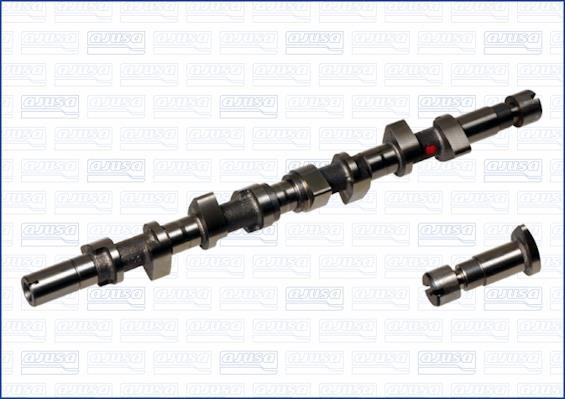 Wilmink Group WG1170851 Camshaft WG1170851: Buy near me in Poland at 2407.PL - Good price!