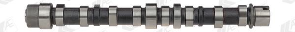 Wilmink Group WG1093068 Camshaft WG1093068: Buy near me in Poland at 2407.PL - Good price!
