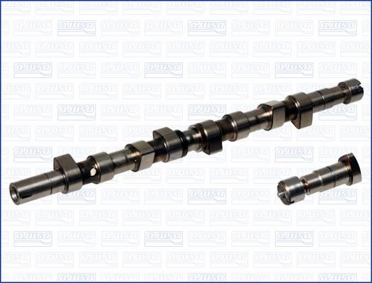 Wilmink Group WG1171139 Camshaft WG1171139: Buy near me in Poland at 2407.PL - Good price!