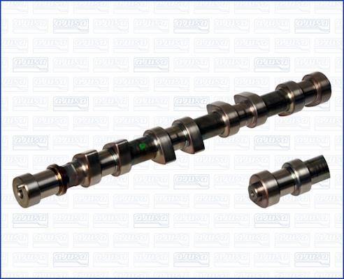 Wilmink Group WG1170754 Camshaft WG1170754: Buy near me in Poland at 2407.PL - Good price!