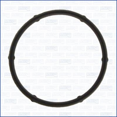 Wilmink Group WG1447955 Termostat gasket WG1447955: Buy near me in Poland at 2407.PL - Good price!