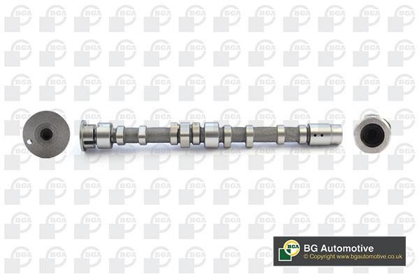 Wilmink Group WG1967756 Camshaft WG1967756: Buy near me in Poland at 2407.PL - Good price!