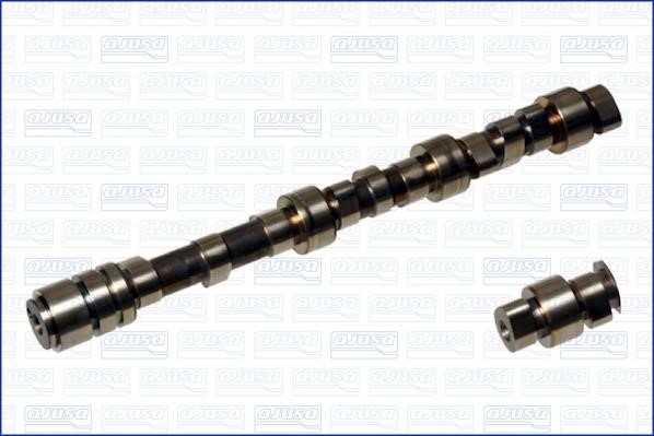 Wilmink Group WG1171163 Camshaft WG1171163: Buy near me in Poland at 2407.PL - Good price!