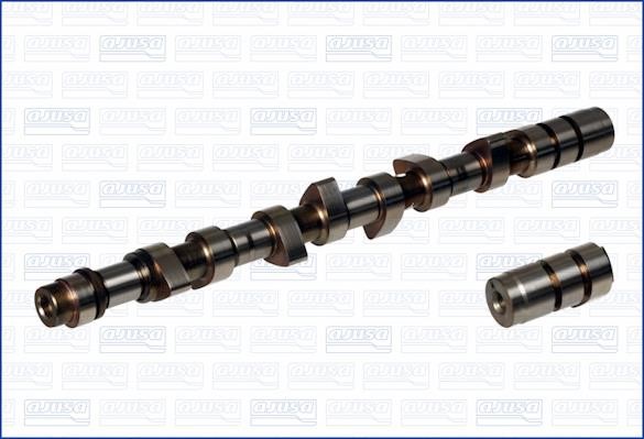 Wilmink Group WG1170822 Camshaft WG1170822: Buy near me in Poland at 2407.PL - Good price!