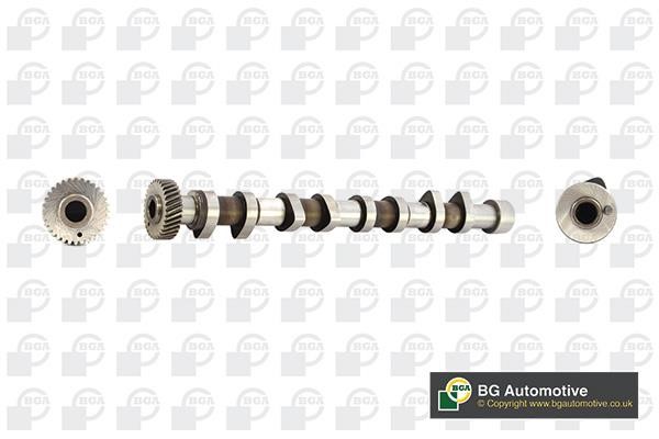Wilmink Group WG1490480 Camshaft WG1490480: Buy near me in Poland at 2407.PL - Good price!