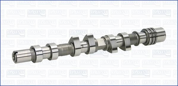 Wilmink Group WG1456762 Camshaft WG1456762: Buy near me in Poland at 2407.PL - Good price!