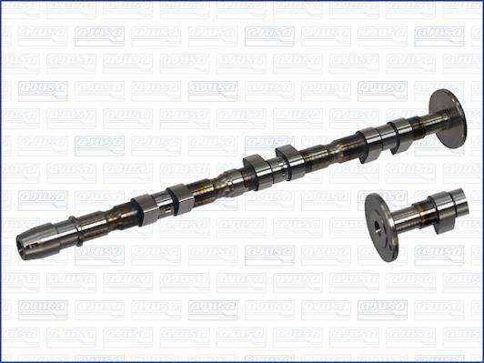 Wilmink Group WG1171306 Camshaft WG1171306: Buy near me in Poland at 2407.PL - Good price!