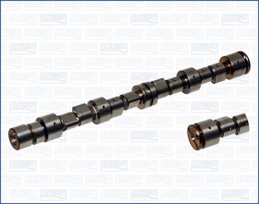 Wilmink Group WG1456151 Camshaft WG1456151: Buy near me in Poland at 2407.PL - Good price!