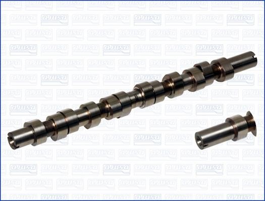Wilmink Group WG1171178 Camshaft WG1171178: Buy near me in Poland at 2407.PL - Good price!