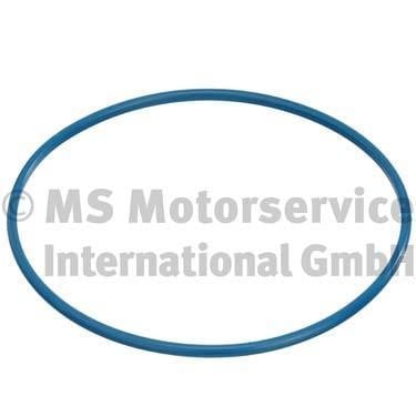 Wilmink Group WG1025397 Gasket, fuel level sensor WG1025397: Buy near me in Poland at 2407.PL - Good price!