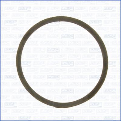 Wilmink Group WG1751237 Termostat gasket WG1751237: Buy near me in Poland at 2407.PL - Good price!