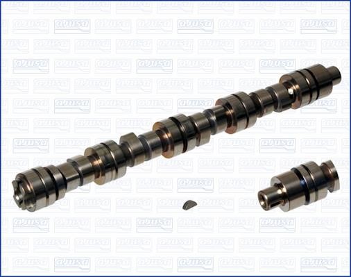 Wilmink Group WG1170716 Camshaft WG1170716: Buy near me in Poland at 2407.PL - Good price!