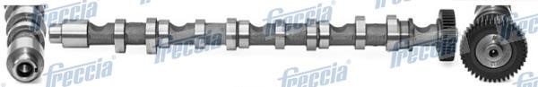 Wilmink Group WG1155407 Camshaft WG1155407: Buy near me in Poland at 2407.PL - Good price!