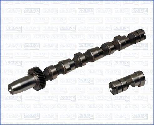 Wilmink Group WG1456646 Camshaft WG1456646: Buy near me in Poland at 2407.PL - Good price!