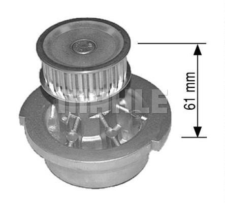 Wilmink Group WG2181291 Water pump WG2181291: Buy near me at 2407.PL in Poland at an Affordable price!
