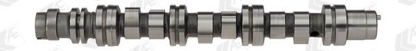 Wilmink Group WG1462604 Camshaft WG1462604: Buy near me in Poland at 2407.PL - Good price!