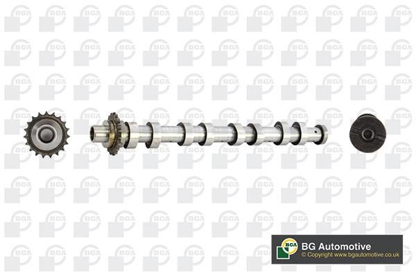 Wilmink Group WG1490540 Camshaft WG1490540: Buy near me in Poland at 2407.PL - Good price!