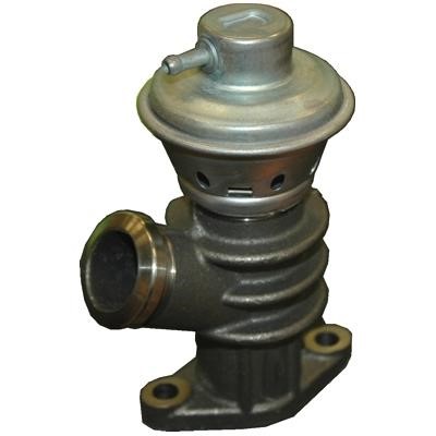 Wilmink Group WG2099608 EGR Valve WG2099608: Buy near me in Poland at 2407.PL - Good price!