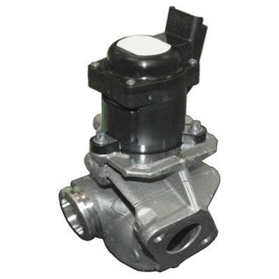 Wilmink Group WG1408678 EGR Valve WG1408678: Buy near me in Poland at 2407.PL - Good price!