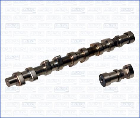 Wilmink Group WG1170858 Camshaft WG1170858: Buy near me in Poland at 2407.PL - Good price!