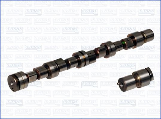 Wilmink Group WG1170790 Camshaft WG1170790: Buy near me in Poland at 2407.PL - Good price!