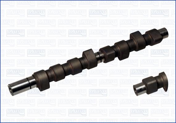 Wilmink Group WG1170982 Camshaft WG1170982: Buy near me in Poland at 2407.PL - Good price!