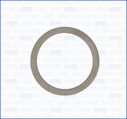 Wilmink Group WG1452017 Ring sealing WG1452017: Buy near me in Poland at 2407.PL - Good price!