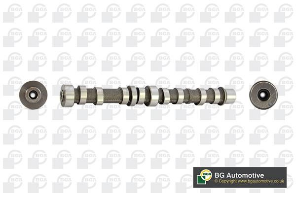 Wilmink Group WG1490482 Camshaft WG1490482: Buy near me in Poland at 2407.PL - Good price!