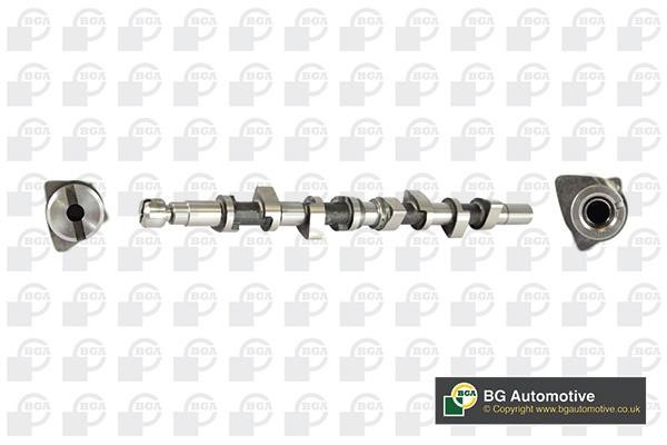 Wilmink Group WG1490523 Camshaft WG1490523: Buy near me in Poland at 2407.PL - Good price!