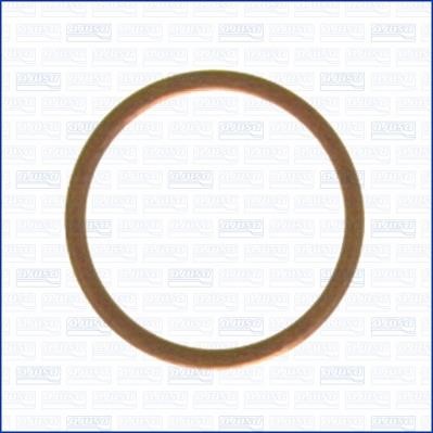 Wilmink Group WG1451987 Ring sealing WG1451987: Buy near me in Poland at 2407.PL - Good price!
