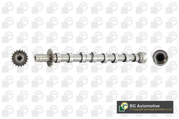 Wilmink Group WG1490537 Camshaft WG1490537: Buy near me in Poland at 2407.PL - Good price!