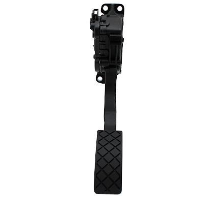 Wilmink Group WG1407988 Gas pedal WG1407988: Buy near me in Poland at 2407.PL - Good price!